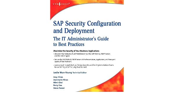 Sap security roles and responsibilities